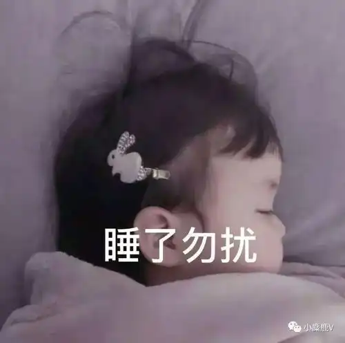 表情包我已经向生活屈服了
