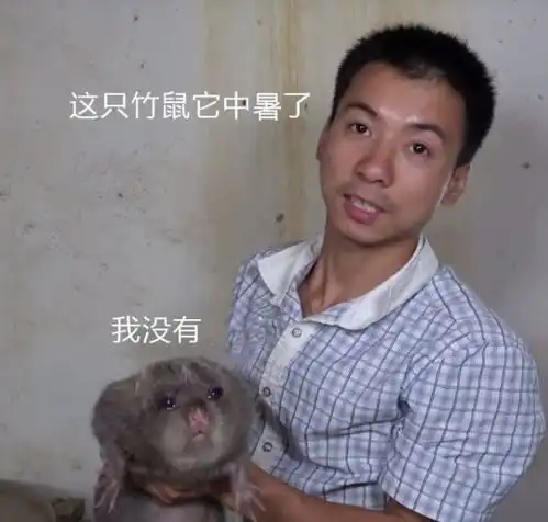 华农兄弟最终选择告别竹鼠,b站大佬不得不在疫情下低头
