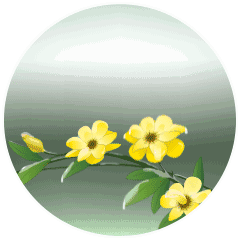 最漂亮的早安动图微信早安动态表情早安祝福表情
