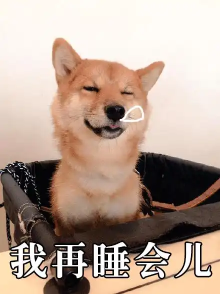 哈士奇大战柴犬,表情包之王你支持谁
