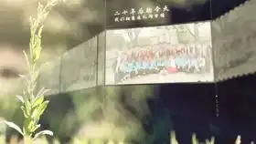 1082花朵树苗茁壮成长动画公益环保大自然六一儿童节视频片头ae模板ae下载抖音快手会声会影ediusprae片头宣传片动画片头视频素材
