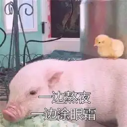 眼霜选的好,就算是40岁的嫂子小奶狗照样追着跑
