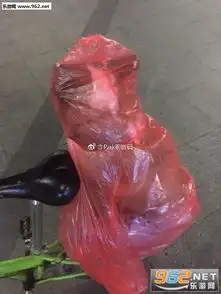 柯基雨衣萌萌表情包穿红色雨衣的柯基狗袋无水印图片下载乐游网游戏下载
