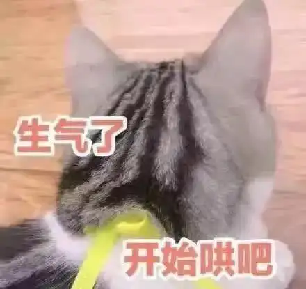 有没有跟这个图一样的小狗表情包
