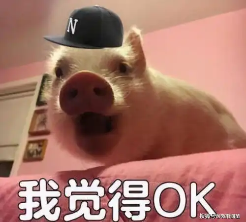 老师到底懒一些好,还是勤快一些好一线教师为你分析
