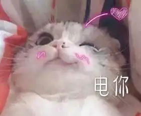 这张被称作人间宝藏的脸,才是顶级整形模板
