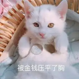 在广州,用粤语骂人一个脏字都不带
