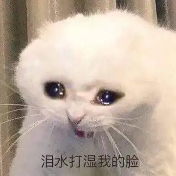 再见了这37款app
