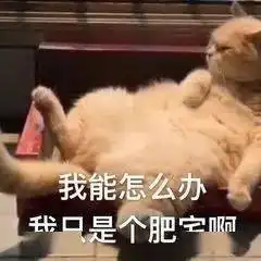 妈,不要再说方便食品不健康了
