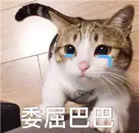 委屈巴巴表情包猫图片无水印版下载委屈巴巴猫表情包系列合集下载飞翔下载
