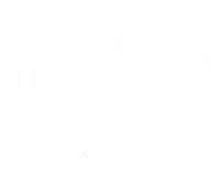 比我爱你更令人心动的告白

