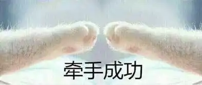 比较可爱的猫爪牵手表情包全套签宝宝的手
