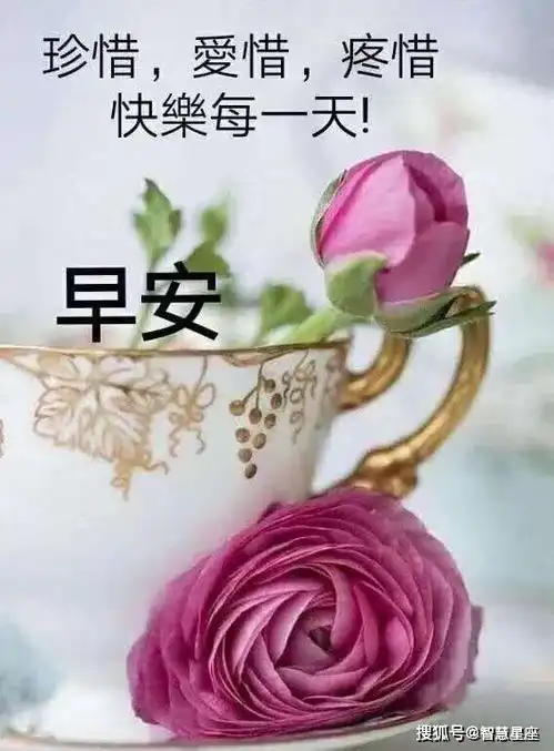 8月25日周二清晨群发早上好问候温馨语句,微信早晨鲜花祝福文字图片表情
