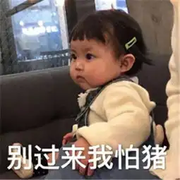 治愈系的表情包最近全球火爆的表情包宝宝超萌的她可能是吃可爱长大的我是表情
