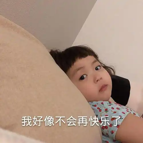 我的圣诞礼物呢
