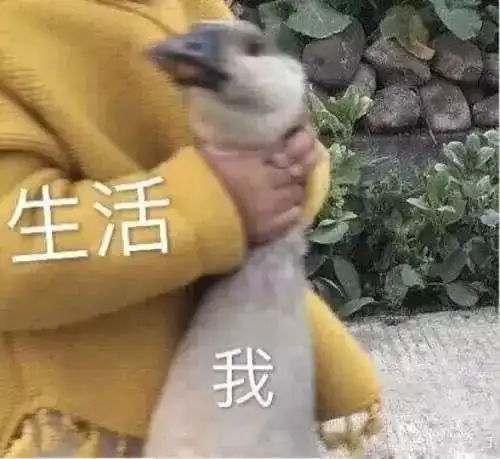 小伙街头一见钟情微博寻人被网友告知是女明星
