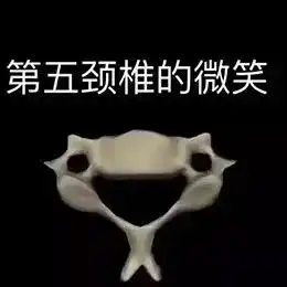 终于,有这么一套表情包扒出了所有专业难以启齿的痛点
