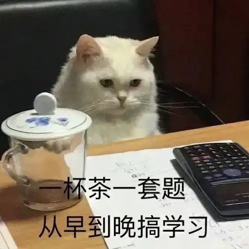 期末考试复习表情包
