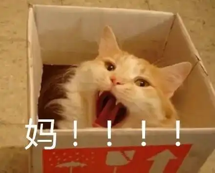 我的大学生早衰日记
