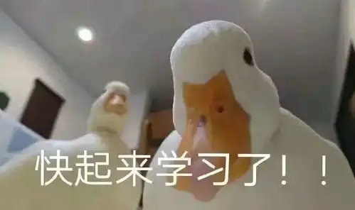 第一次做券商行研实习,有什么建议
