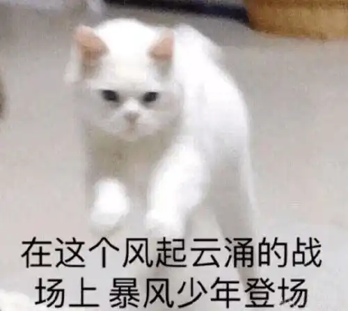 如果有多一张投票,你会唔会同我一起走
