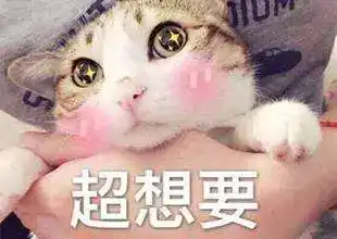 微信悄悄出新功能网友评论亮了千万不能让女友知道
