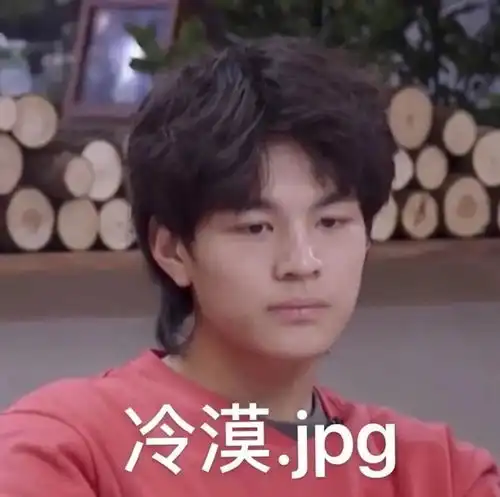 表情包名学沙雕系列
