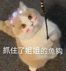 抓住了姐姐的鱼钩姐姐鱼钩抓住表情
