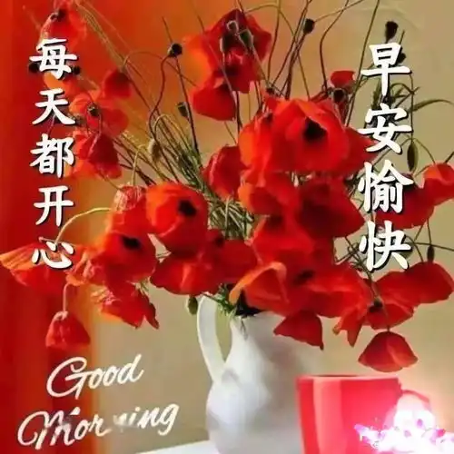 早晨好表情包人生感悟经典语录祝福语大全简短
