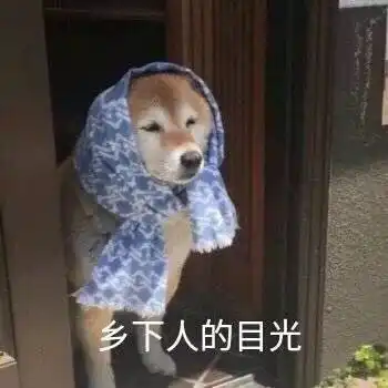 翟天临还要上几天的热搜绯闻女友辛芷蕾的口红都比他有看点...
