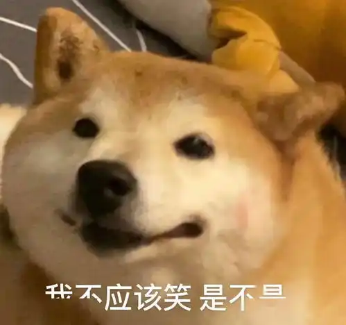 从上万张照片里,我为你找到了今夏必学的拍照姿势
