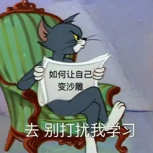 潮图表情包别打扰我学习
