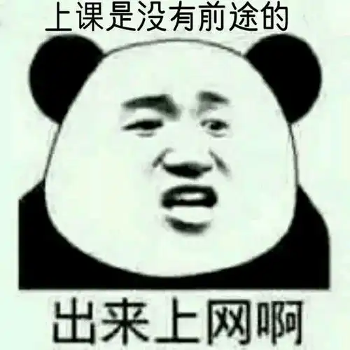 出来上网啊表情包
