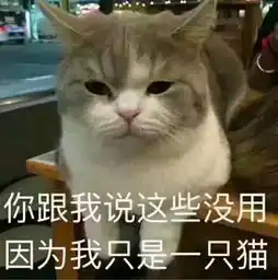 海口支付宝扫码乘公交今日上线万宁一小学生被陌生人抱走系谣言丨新闻特搞
