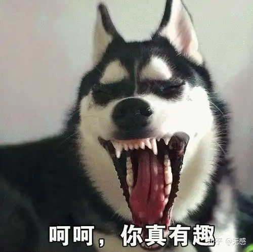 不会排版送你一套葵花宝典
