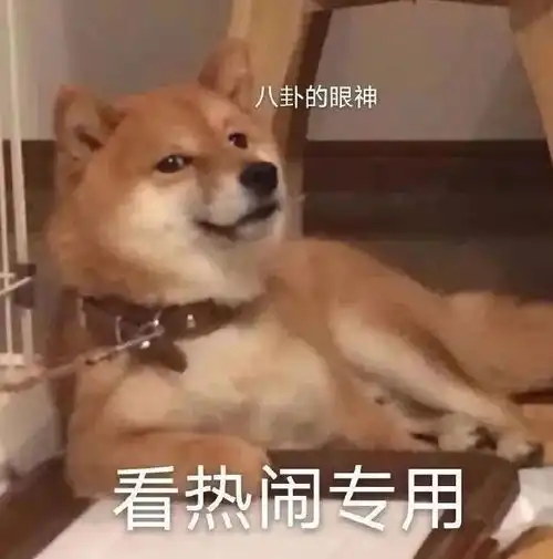 表情包丨看热闹专用表情
