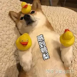 今年三十岁,感觉自己一无所有
