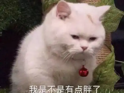 表情包专属推文
