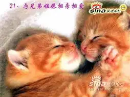 教你n种快乐的方法
