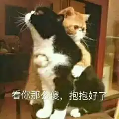 可爱,抱抱表情包可爱,抱抱微信表情包可爱,抱抱qq表情包发表情fabiaoqing.com
