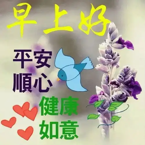 微信早安最火的动态图片大全2021,春天暖心的问候朋友语录大全
