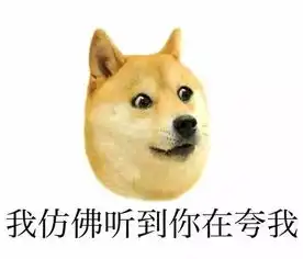 日本可爱的秋田犬被普京养成了战斗种族
