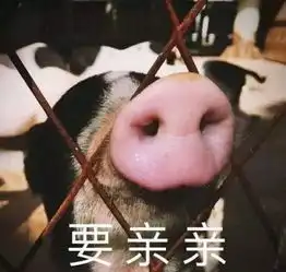2018年犬系老公大分类,你的老公属于哪一类快来认领吧
