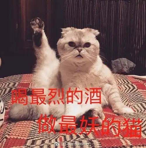 来收表情包吧欧美专场
