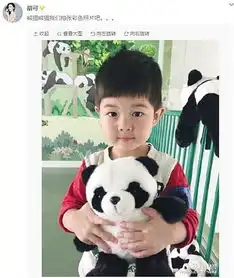 沙溢儿子萌照曝光抱熊猫模样可爱

