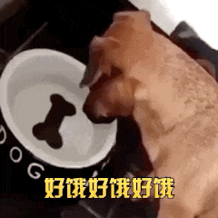 有哪些明知是智商税的坑,让你边骂边喊真香的
