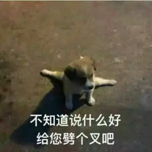 叶泓希明星资料大全叶泓希动态叶泓希电视剧电影爱奇艺泡泡
