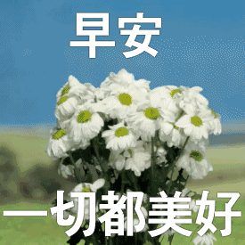 周一早上好问候动态表情图片周一早安问候语动态图片表情

