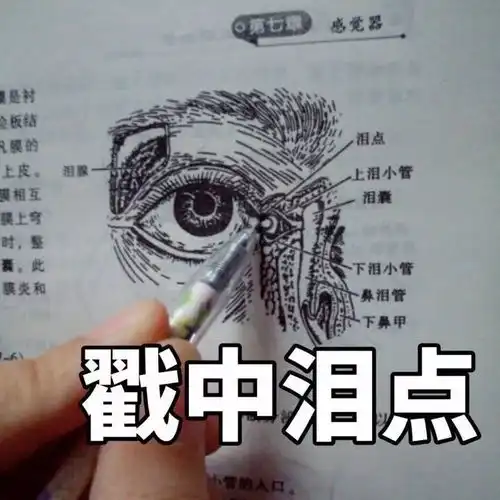 斗图专用这一波医学生的表情包很刺激
