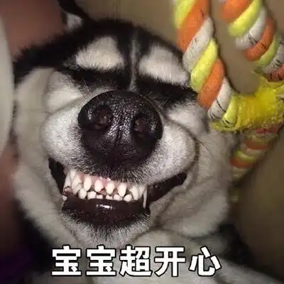 二哈表情包和段子
